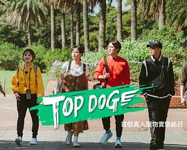 51吃瓜爆料网《TOP DOG》免费在线观看